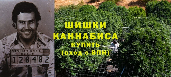 apvp Инта
