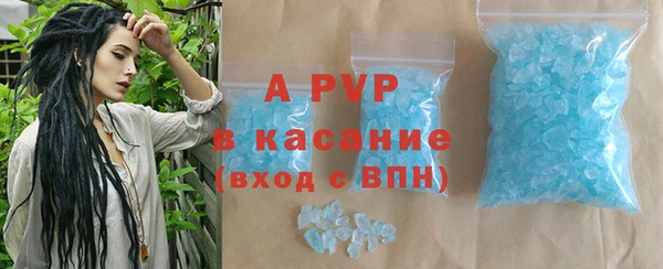 apvp Инта